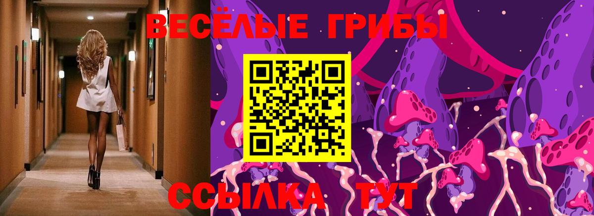 Галлюциногенные грибы MAGIC MUSHROOMS  Вход с VPN  Северск 